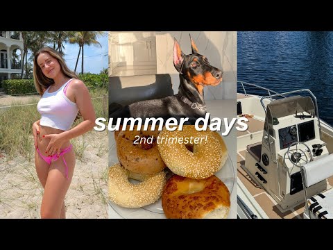 WEEKEND VLOG: first maternity purchase, second trimester symptoms, beach day, puppy tricks!