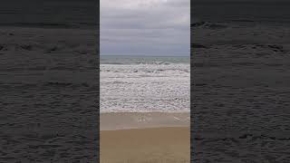 Onde ver baleias na praia no Brasil #baleias  #animais