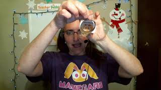 Magic Ears - Teacher Debbie - Webcam Cover Up