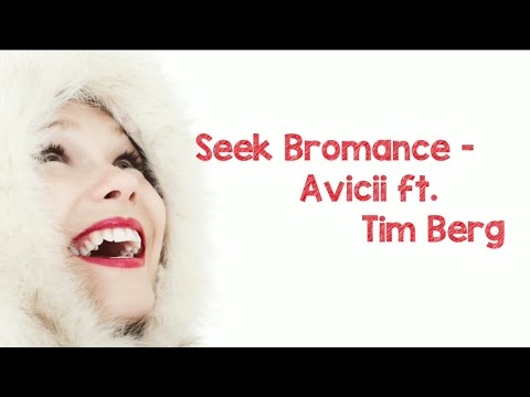 Seek bromance - Avicii feat. Tim berg & Amanda Wilson | Lyrics