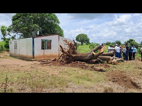 Cojedes: Impresionante lo ocurrido en el municipio El Pao por el viento y la lluvia 