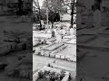 Chadhta Suraj Dheere Dheere Aziz Nazan Whatsapp Status