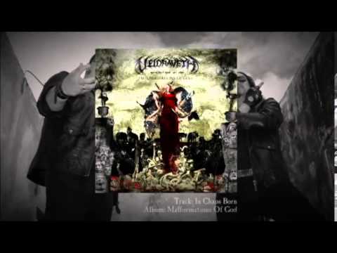 VELDRAVETH - In Chaos Born (Track premiere video)