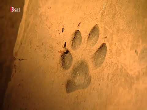 Ziegel - Bausteine des Lebens