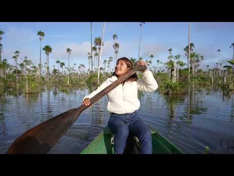 Estudio de Conectividad