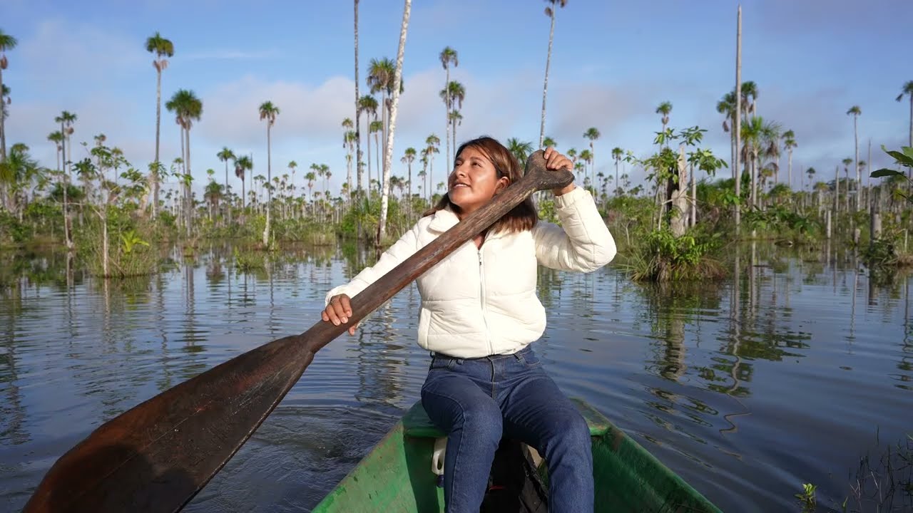 Estudio de Conectividad