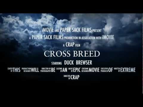 Cross Breed