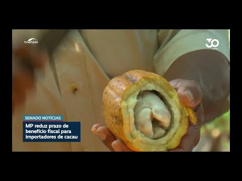 Comissão aprova MP que reduz prazo de benefício para importador de cacau