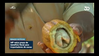 Aprovada em comissão a medida provisória do cacau