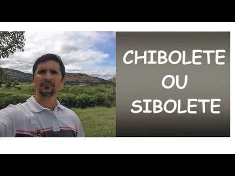 O  H era a senha da salvação - CHIBOLETE OU SIBOLETE