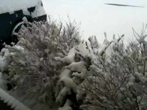 2010 Snow in Collierville