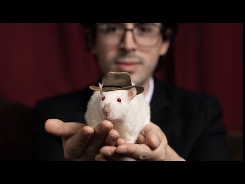 Will Wood moments that make me giggle and kick my feet in the air : pt3 #willwood