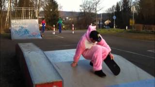 preview picture of video 'Faasend Skatesession in Wadern inkl. Mario Bros. , Pink Bunny & Specialguests!'