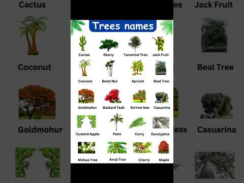 Trees names in english #tree names with images
