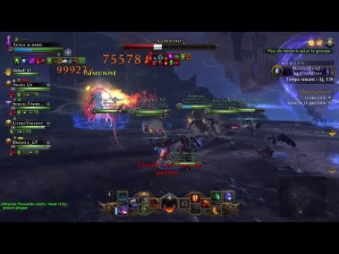 Neverwinter Mod 24 bard heal/buff Master demo (full run)