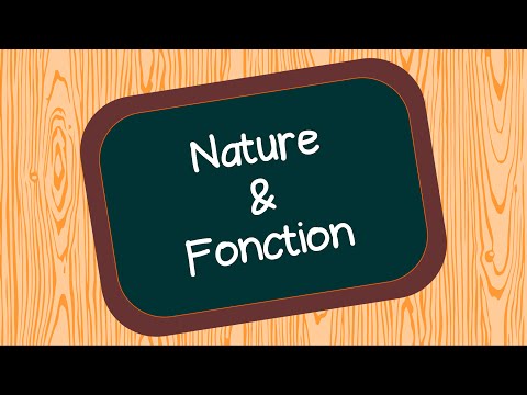 Nature et Fonction