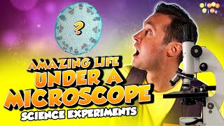 Amazing Life under a MICROSCOPE for Kids 🔬 How Does a Microscope Work 🧪 Science Experiments