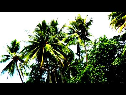 O-SHEN - Mi Save Pes