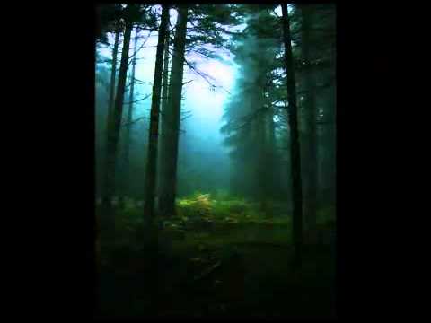 Brett Anderson  Back to you duet with Emanuelle Seigner)