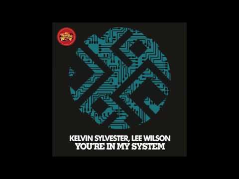 Kelvin Sylvester feat.Lee Wilson - You're In My System (Reelsoul Remix)