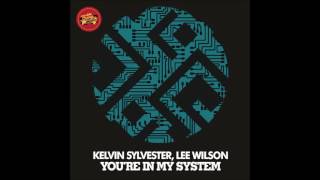 Kelvin Sylvester feat.Lee Wilson - You're In My System (Reelsoul Remix)