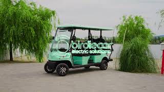 Новый гольф-кар BirdieCar Cruize 4 | Изображение 4 - Autoline