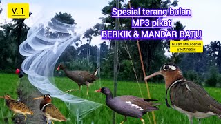 Download lagu Mp3 suara pikat mandar batu campur BERKIK/pekung/burcet/aw aw #burung #mandarbatu #berkik mp3 Download lagu Mp3 suara pikat mandar batu campur BERKIK/pekung/burcet/aw aw #burung #mandarbatu #berkik mp3
