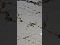 Tile Zone 24x24 Contact Noor Malik 03049324809