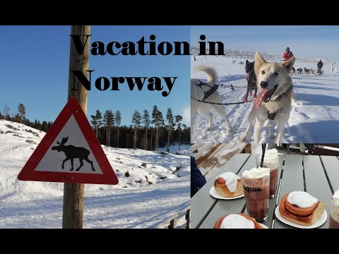 Holiday trip to Lillehammer- Norway | Skiing | Dog sleigh | Alpin | Winter