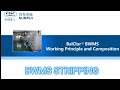 BALLAST WATER MANAGEMENT SYSTEM Deballasting Stripping
