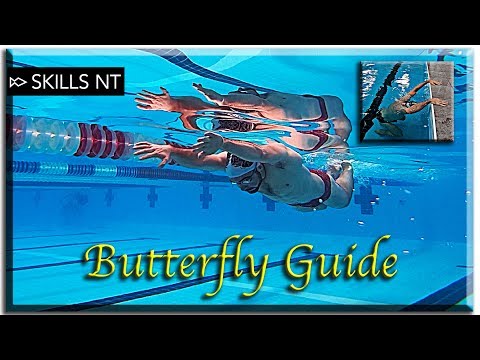 Improve your Butterfly swimming (5 Stages) technique for beginners