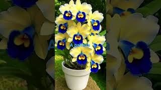 5 de dezembro de 2025