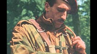 Maxime Le Forestier: Parachutiste ( Reprise), par Joël