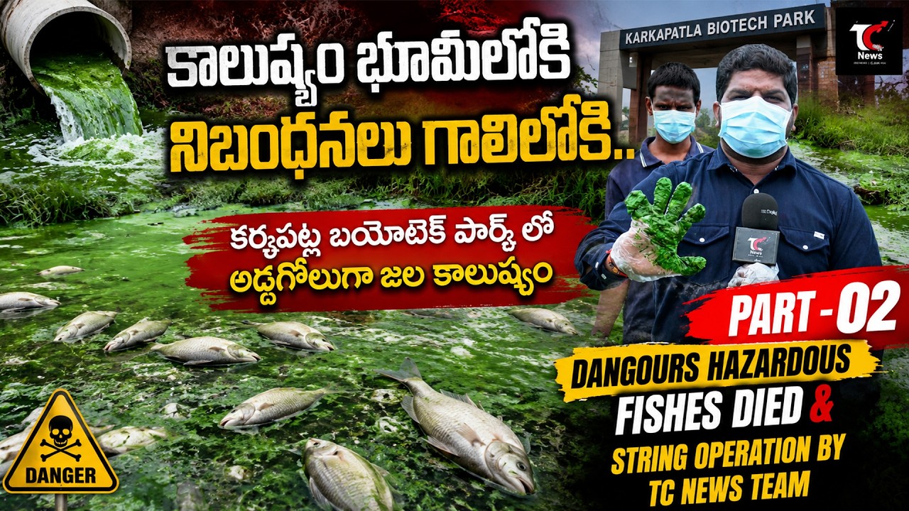 TC News Telugu video thumbnail