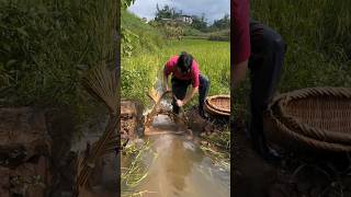 Download lagu Teknik memancing tradisional Asia π #memancing #videomemancing #teknikmemancing mp3 Download lagu Teknik memancing tradisional Asia π #memancing #videomemancing #teknikmemancing mp3