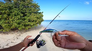 Download lagu Minnow killer Seharian casting dibuat jangtungan.!! mp3