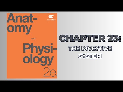 OpenStax Anatomy and Physiology 2e (Audiobook) - Chapter 23: The Digestive System