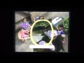 Sesame Street Theme Song Sunny Days 1999