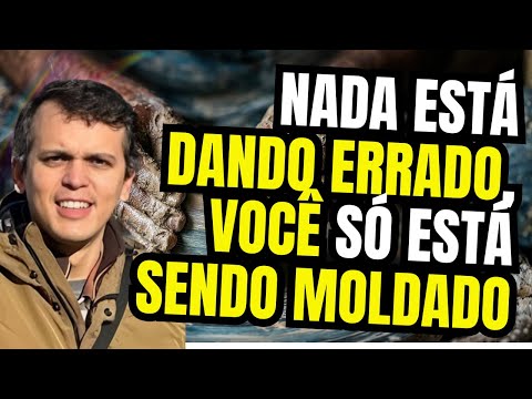 PR RENATO TORRES MOUL - NADA ESTÁ DANDO ERRADO, VOCÊ SÓ ESTÁ SENDO MOLDADO