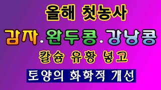 [텃밭농부.915]  올해의 첫농사 감자, 완두콩, 강낭콩밭에 토양개선. #감자재배 #완두콩재배 #강낭콩재배