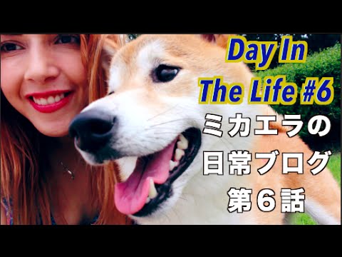 Dating My Doge 柴犬とデート ♥️ Day In The Life #6 ミカエラの日常ブログ第６話 (Dating My Doge 柴犬とデート ♥️ Day In The Life #6 ミカエラの日常ブログ第６話)