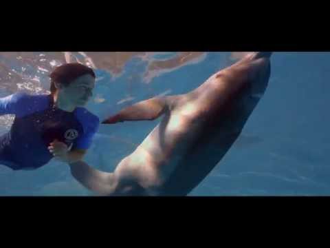 DOLPHIN TALE 2 - "True Story" Featurette - In Cinemas 2 October