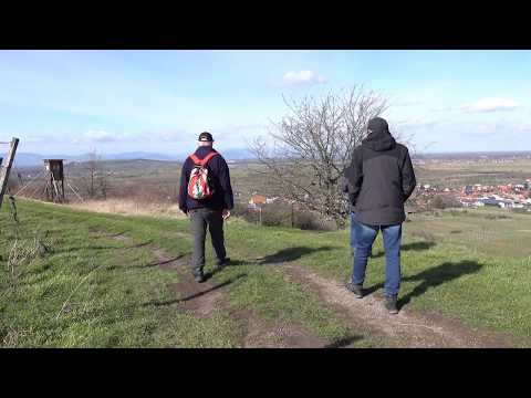 Königschaffhausen - Kaiserstuhl (Schwarzwald)