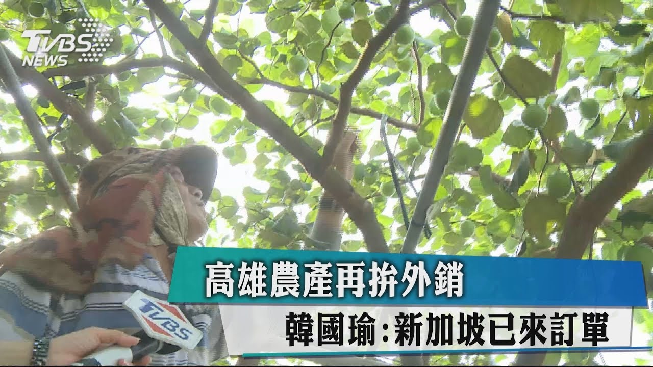 高雄農產再拚外銷 韓國瑜:新加坡已來訂單