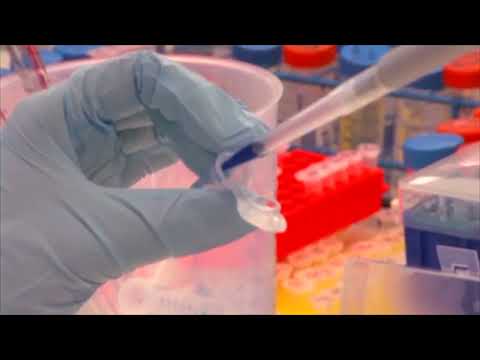 Legionnaires’ Fifth Death