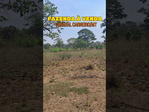 Fazenda à venda general Carneiro/MT. Para mais informações: JpAgroBridge (69) 99392-7957