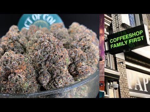 Die besten Coffeeshops in Amsterdam – Guide & Tipps
