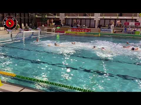 Vidám Vízilovak - Jog-Ászok