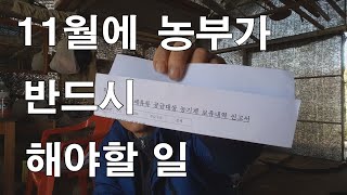 11월에 농부가 반드시 해야할 일/농사비용 절약방법
