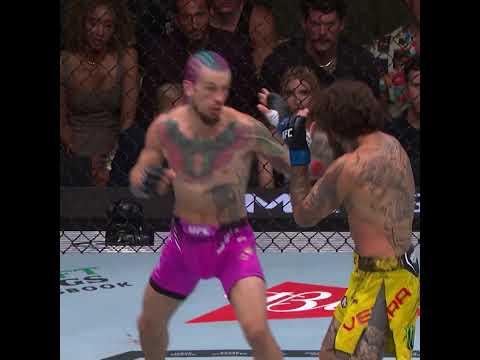 Dude... this knee sounded SO LOUD! 😳 #nocommentary